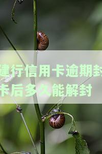 建设银行信用卡逾期，警惕！建设银行信用卡逾期可能带来的严重后果