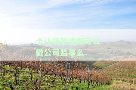 个让贷款逾期可以做公司监事么-贷款逾期可以当法人吗