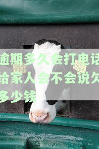 逾期多长时间会给家里打电话？催收期限及影响解析