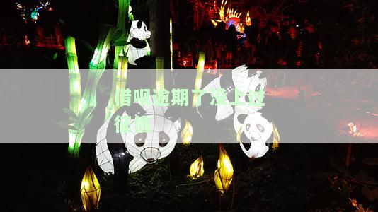 借呗逾期了没上过征信怎么办，解决借呗逾期不上征信问题的方法