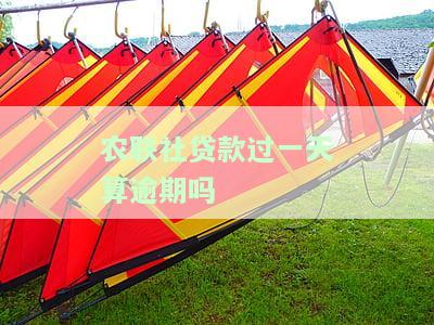 农联社贷款过一天算逾期吗，农联社贷款：过一天算不算逾期？