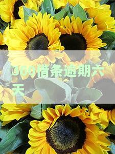 逾期六天：止合同、还全款，如何应对？