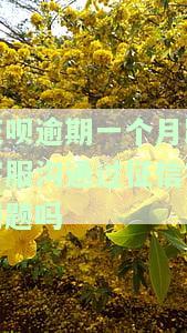 花呗逾期1个月影响征信吗？后果严重，需尽快解决！