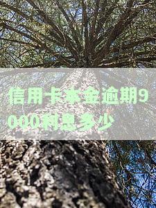 信用卡本金逾期9000利息多少啊，关于信用卡本金逾期9000的利息问题，你了解多少？