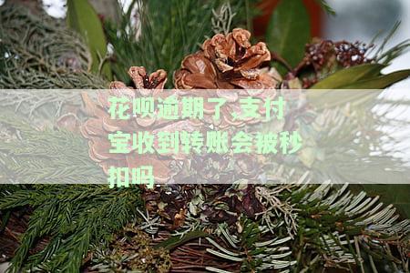 花呗逾期了,支付宝收到转账会被秒扣吗是真的吗，真相揭示：花呗逾期后，支付宝转账是否会被秒扣？