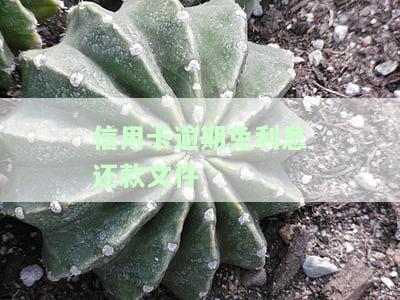 信用卡逾期免利息还款文件