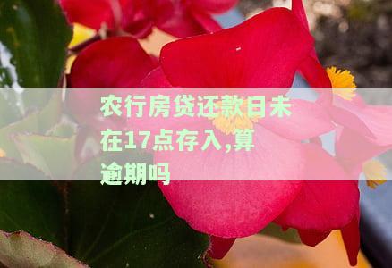 农行房贷还款日未在17点存入,算逾期吗，农行房贷还款日未及时存入是否算作逾期？