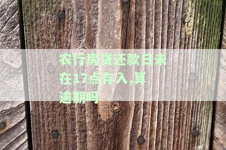 农业银行房贷还款当日没超过24小时/月/期，如逾期请尽快还款