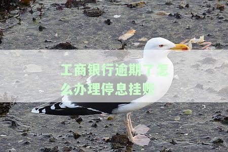 工商银行逾期了怎么办理停息挂账