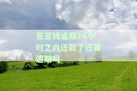 豆豆钱逾期一天后要和下一期一起还可以吗，豆豆钱：逾期一天是否需要与下一期一起还款？