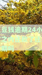 豆豆钱逾期几天就会让你全额还款吗，豆豆钱逾期几天会要求全额还款吗？