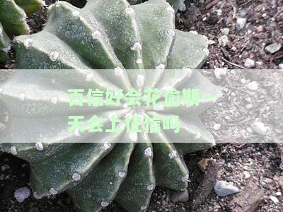 百信好会花逾期一天会上征信吗