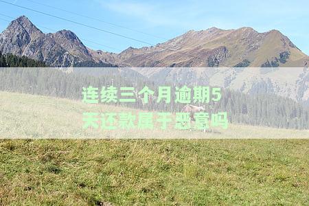 连续三个月逾期5天还款属于恶意吗