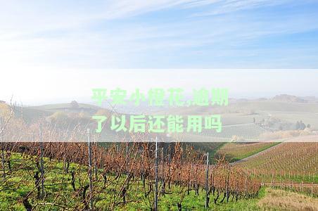 平安小橙花逾期多久上征信？会影响爆通讯录和被起诉吗？有还款宽限期吗？贷款不还会有什么后果？