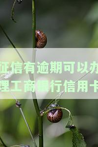征信逾期能否办理信用卡？影响及解决方案