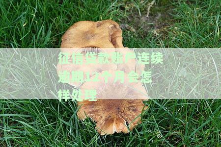 征信连续逾期6个月，能否消除？影响及解决办法