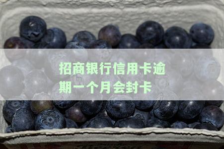 招商银行逾期1个月，逾期1个月：对招商银行的影响和应对策略