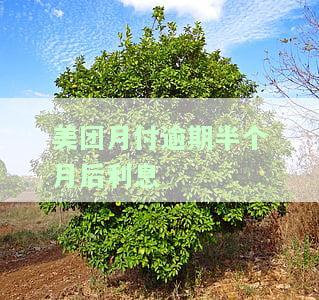 美团月付逾期半个月后利息多少，如何计算美团月付逾期半个月后的利息？