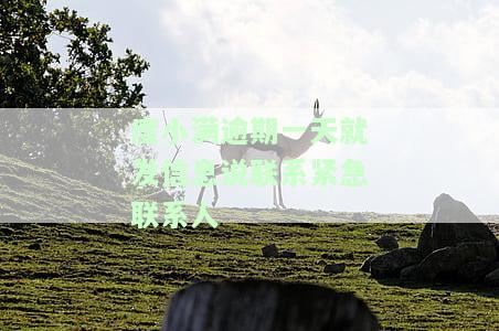 度小满催收说会联系紧急联系人是真的吗，真相揭示：度小满催收是否会联系紧急联系人？
