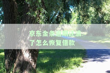 京东金条逾期如何恢复，京东金条逾期后，如何恢复正常使用？