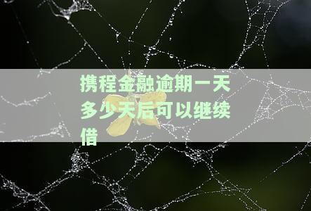 携程金融逾期一天多少天后可以继续借嘛，关于携程金融逾期还款：第一天的处理方式和后续借款规定