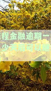 携程金融逾期一天后多久能再借？影响及后果解析