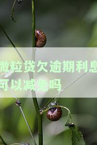 微粒贷欠逾期利息可以减免吗