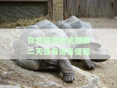 你我贷逾期第二天人工会给你打电话吗，你会在逾期第二天接到来自你我贷的人工电话吗？