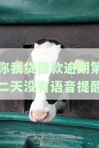 你我贷借款逾期第二天没有语音提醒