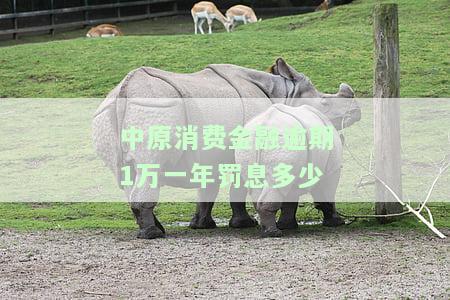 中原消费金融逾期一万块钱会上门吗，中原消费金融：逾期一万块是否会上门催收？