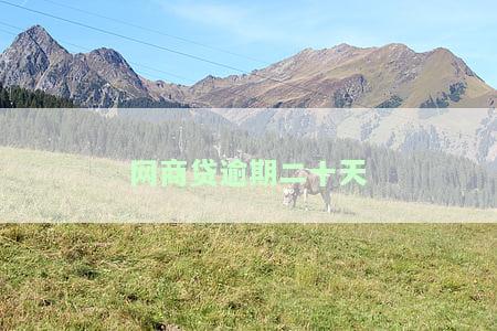 网商贷逾期20天，第三方称将上门催收，如何应对？