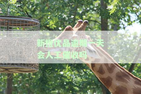 新橙优品逾期一天会人工催收吗？真的会上门吗？逾期8200会有何后果？