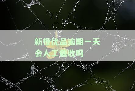 新橙优品逾期一天会人工催收吗