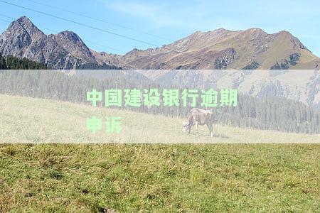 中国建设银行逾期申诉-中国建设银行逾期申诉流程