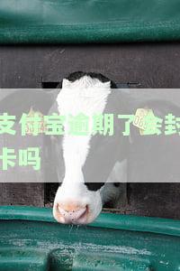 支付宝逾期会封本人银行卡吗？全面解析及相关解决办法