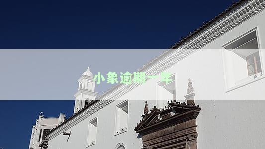 小象逾期一年如何起诉？逾期半年能否协商还款？