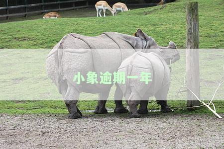 小象逾期一年-小象逾期一年债权转让