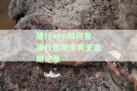建行怎么查信用卡欠多少钱，如何使用建行查询信用卡欠款金额？