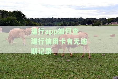 建行如何查建行信用卡有无逾期记录-建行如何查建行信用卡有无逾期记录