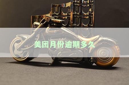 美团逾期2021：200天会被诉讼吗？逾期2000元多久通知紧急联系人？后果严重吗？逾期20天会如何处理？2014块逾期截图，20多天是否会起诉？逾期2000多、三个月会上门催收吗？