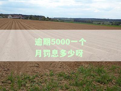 逾期5000一个月罚息多少？计算方法及详细解析