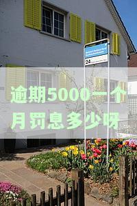 5000逾期一天多少钱？罚息、利息全知道！