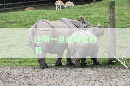 还呗逾期的后果，警惕！还呗逾期将带来严重后果