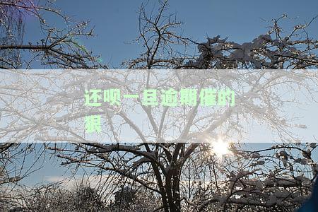 还呗一旦逾期催的狠