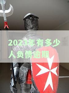2020年负债逾期人数，揭秘2020年负债逾期人数：揭示财务风险与社会现象