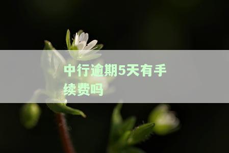 中行逾期5天有手续费吗怎么算，中行信用卡逾期5天会产生手续费吗？计算方法解析