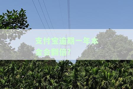 支付宝逾期一年了，该如何处理？