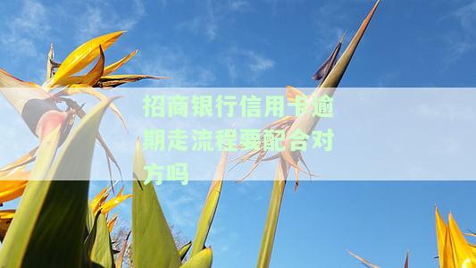 招商银行信用逾期多久会给家人打电话催收?