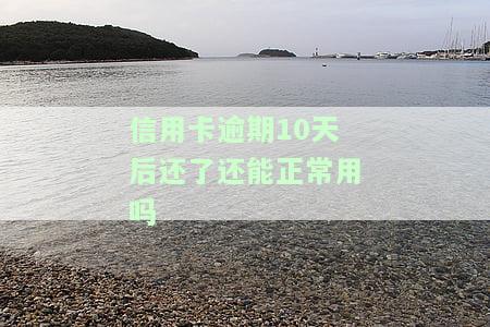 信用逾期10天后全部还清，避免信用记录受损：逾期10天后如何尽快偿还欠款