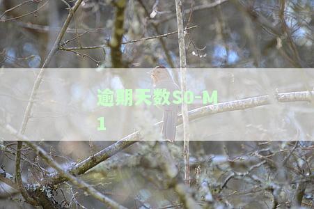 逾期天数的计算公式，逾期天数计算公式详解